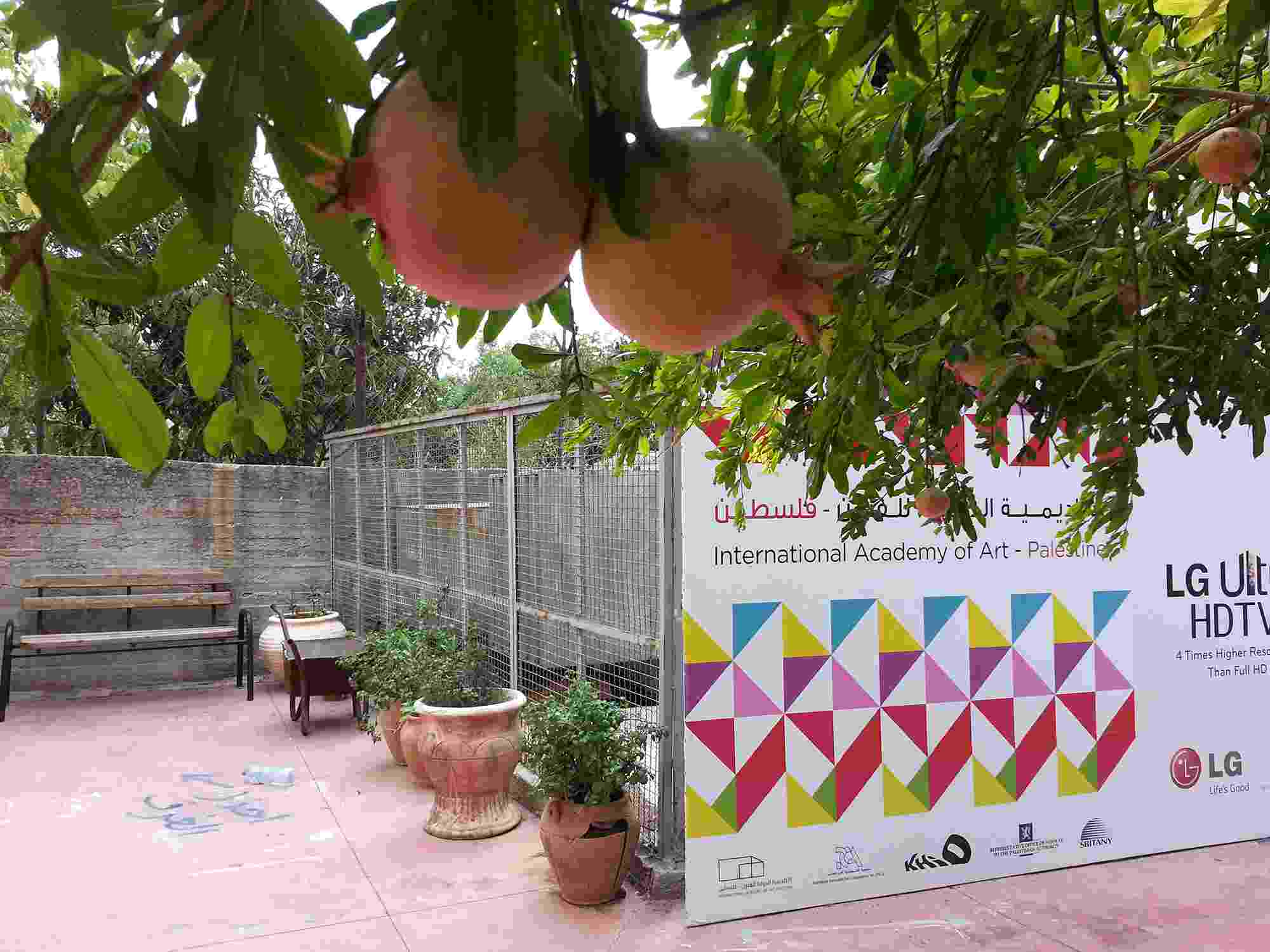 Pomegranate fruit hang from a tree in the foreground, with a courtyard and potted plants visible behind